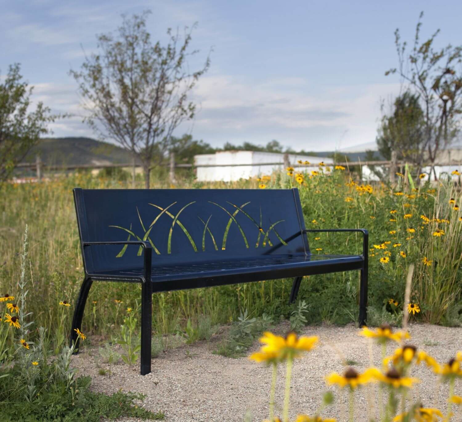 HOME_INSTALLATIONS_BENCHES_Carbondale Community Center_970 Bench Black bench in long gras with yellow flowers