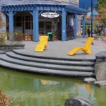 Yellow chairs overlooking a green pond