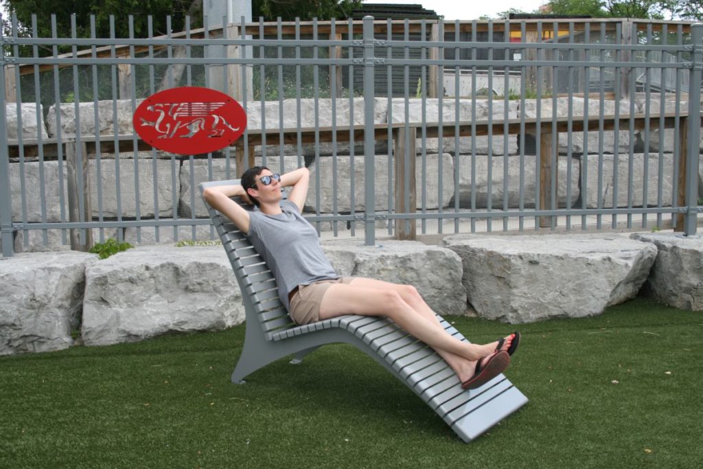 Steg sitting in a Grey Lounge Chair