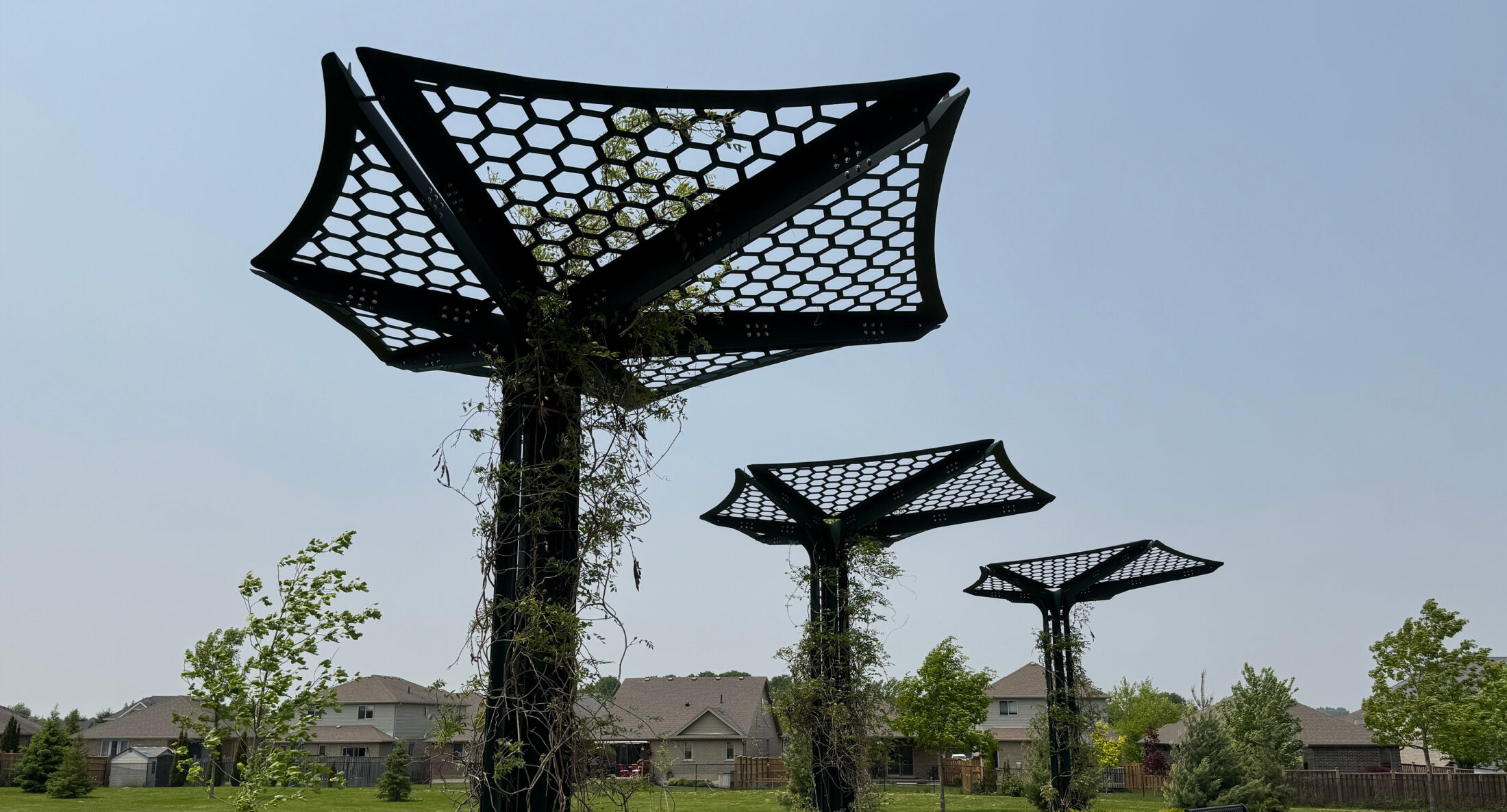 Trois structures métalliques noires à mailles hexagonales, ressemblant à des arbres abstraits, se dressent dans un parc herbeux avec des maisons et des arbres en arrière-plan. Des plantes grimpantes grimpent sur ces éléments d'infrastructure ombragés, mêlant ainsi la nature au design.