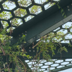 Green vines weave through the hexagonal gaps of a dark metal shade structure, creating a living structure set against a clear sky.