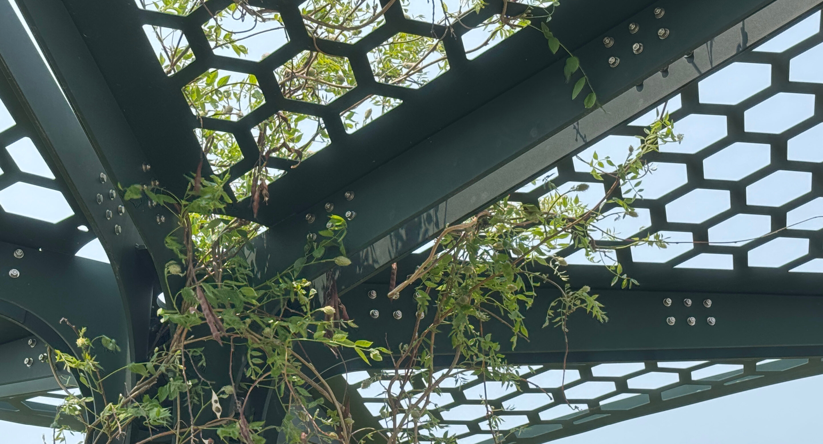 Green vines weave through the hexagonal gaps of a dark metal shade structure, creating a living structure set against a clear sky.