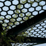 Hexagonal-patterned metal panels form a Living Shade Structure canopy, with green vines weaving through the openings against a clear sky.
