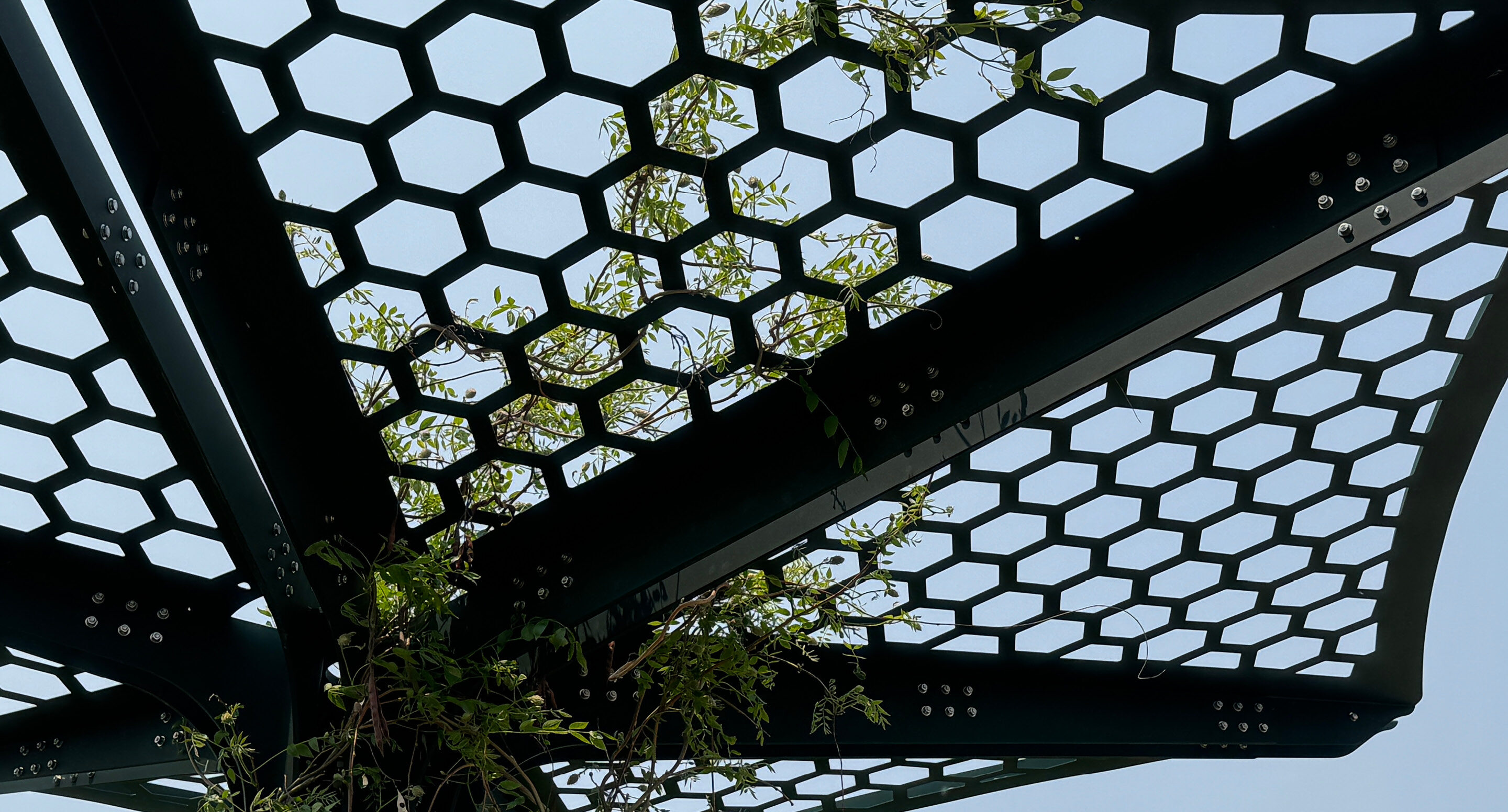 Hexagonal-patterned metal panels form a Living Shade Structure canopy, with green vines weaving through the openings against a clear sky.