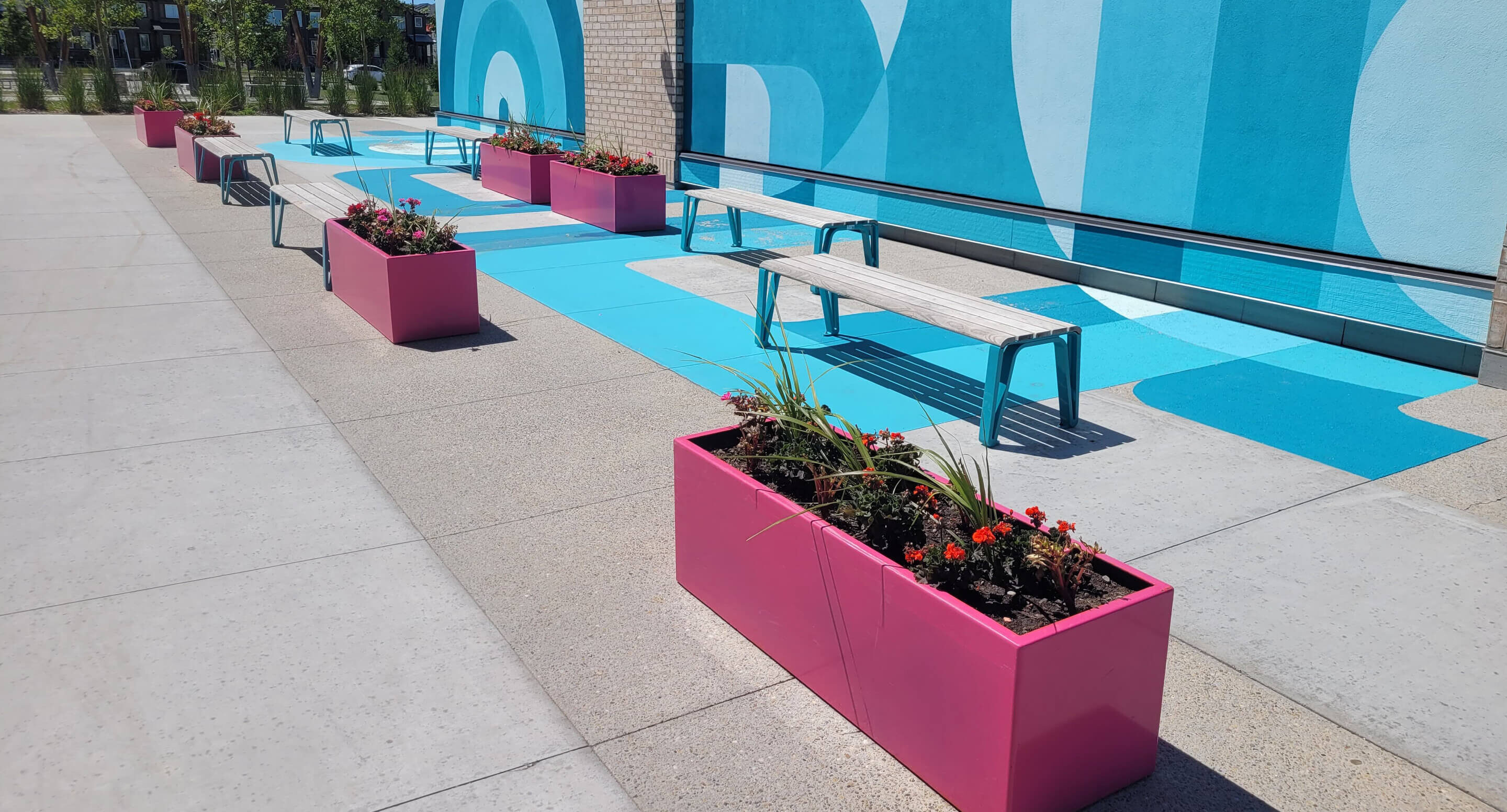 Outdoor seating area with white benches and pink rectangular 1500 planters filled with flowers, offering inspiration beside a blue patterned wall—an inviting installation set along the sidewalk.