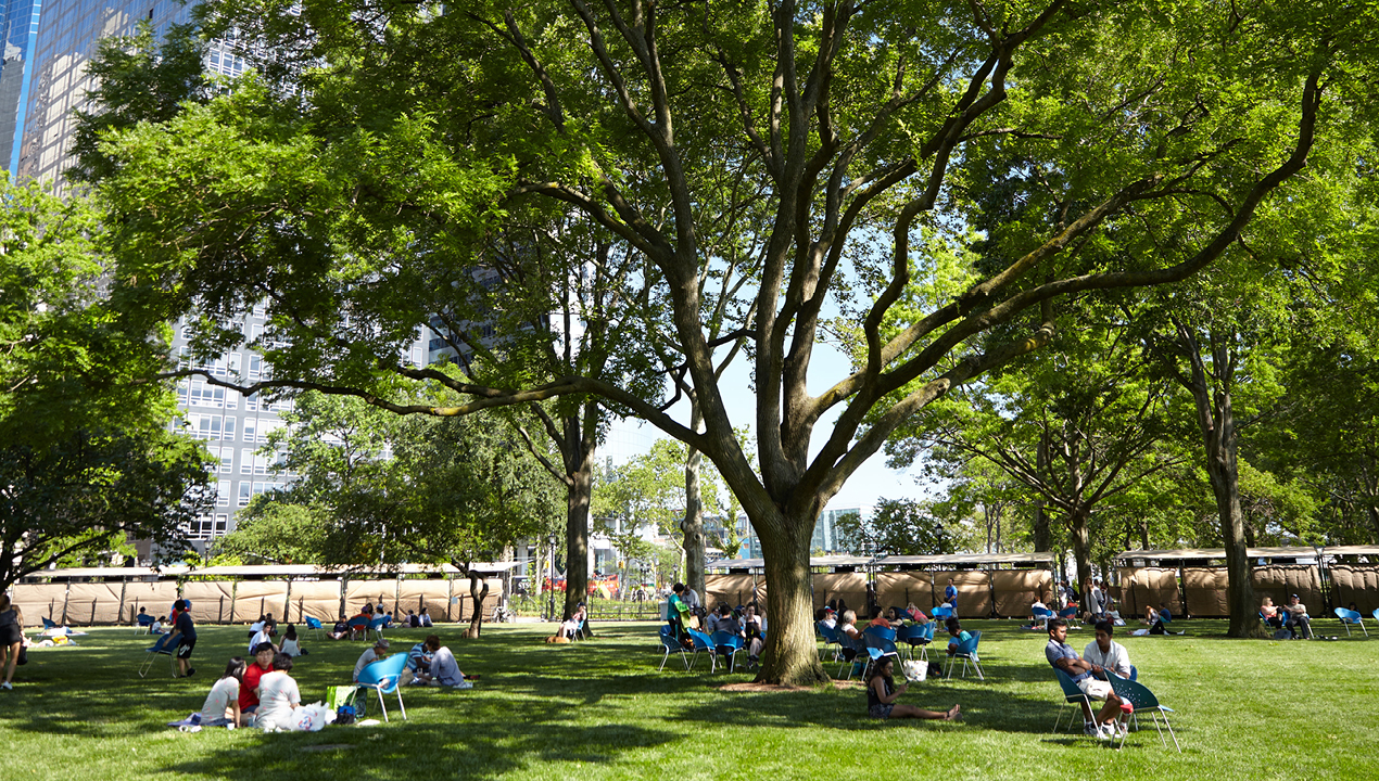 People sitting in blue chairs in Battery Park