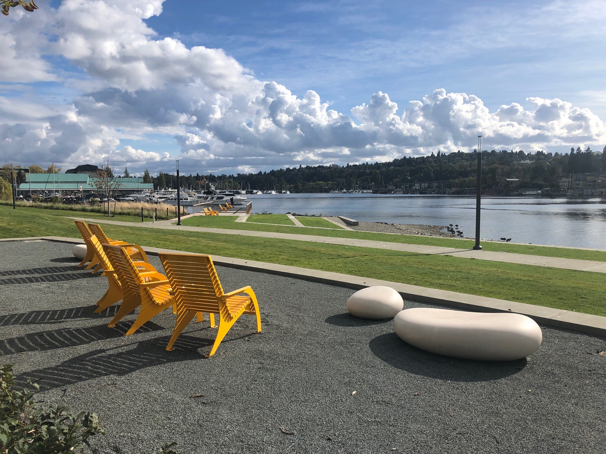 720-chairs-yellow-fritz hedges park Five yellow lounge chairs are grouped on gravel in a park overlooking Portage Bay in Seattle