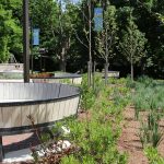 Curved Ogden Bench with custom wood at Lang Plaza