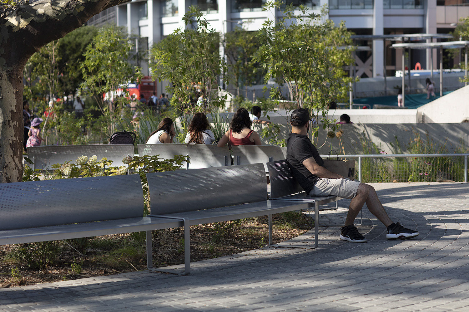 A man sits on a bench in an urban park while three people sit on another bench nearby, surrounded by trees and modern buildings.