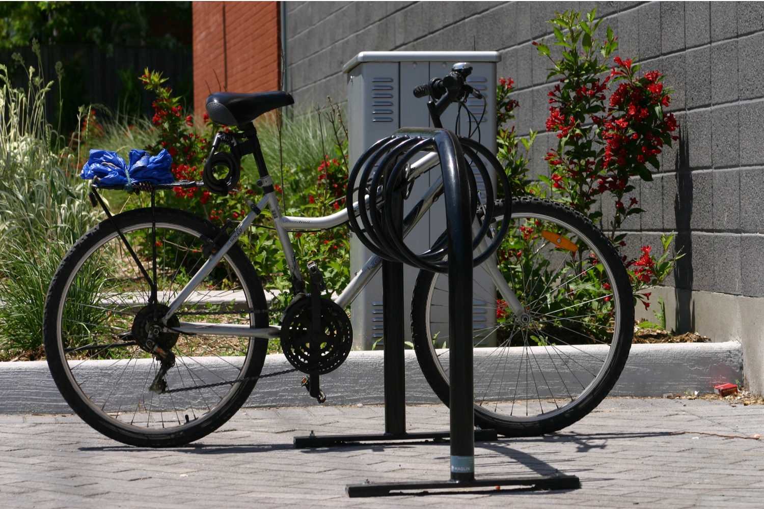 300 Series Bike Rack with bike locked