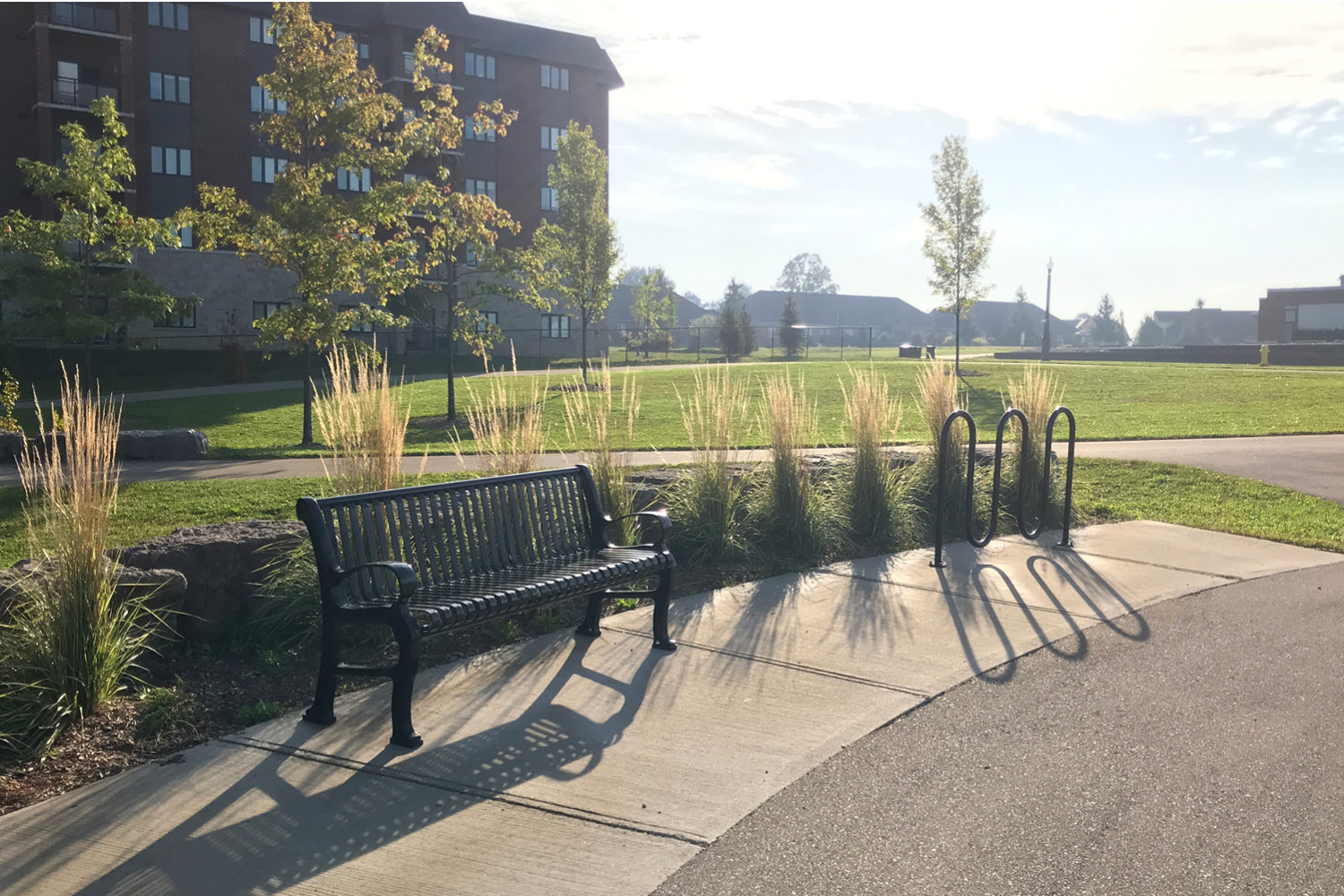 300 Backed Bench with 400 Series Bike Rack at David Lowe Park