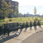 300 Backed Bench with 400 Series Bike Rack at David Lowe Park