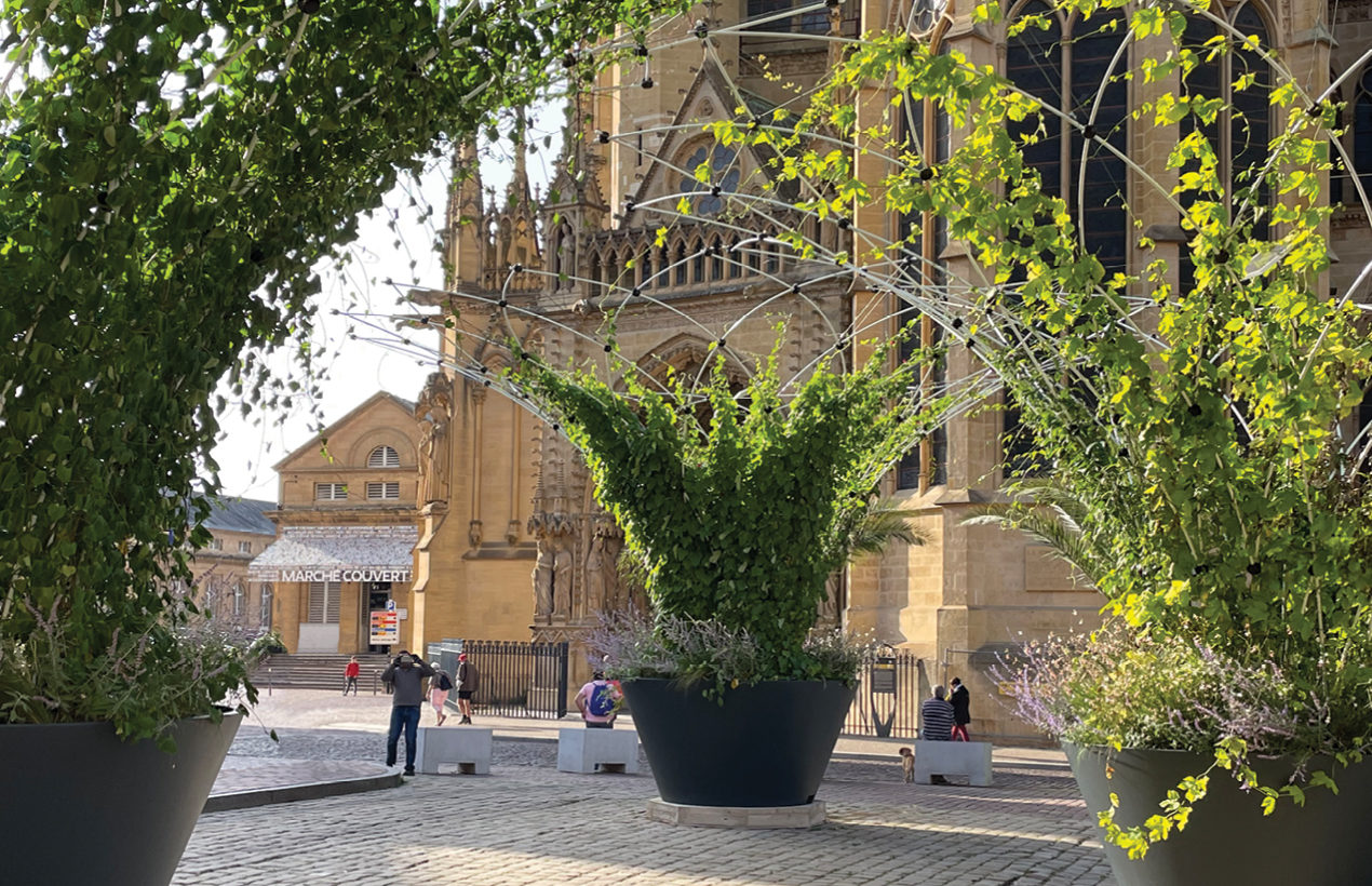 Urban Canopee Corolle with lush greenery against historic buildings