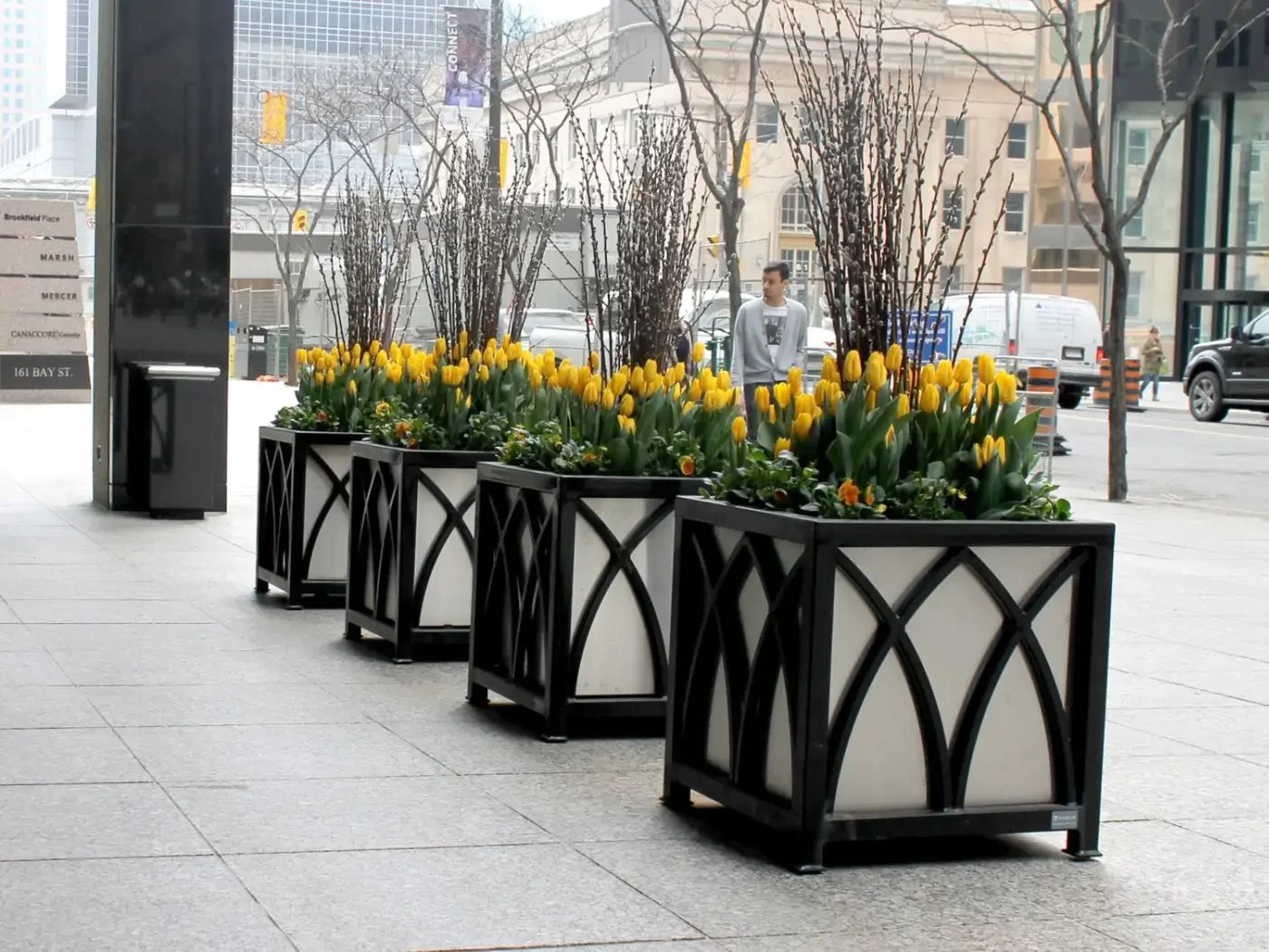 Four large square planters with yellow tulips and bare branches are lined up along a city sidewalk; buildings and a person are visible in the background.
