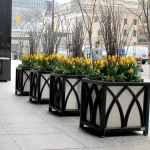 Four large square planters with yellow tulips and bare branches are lined up along a city sidewalk; buildings and a person are visible in the background.