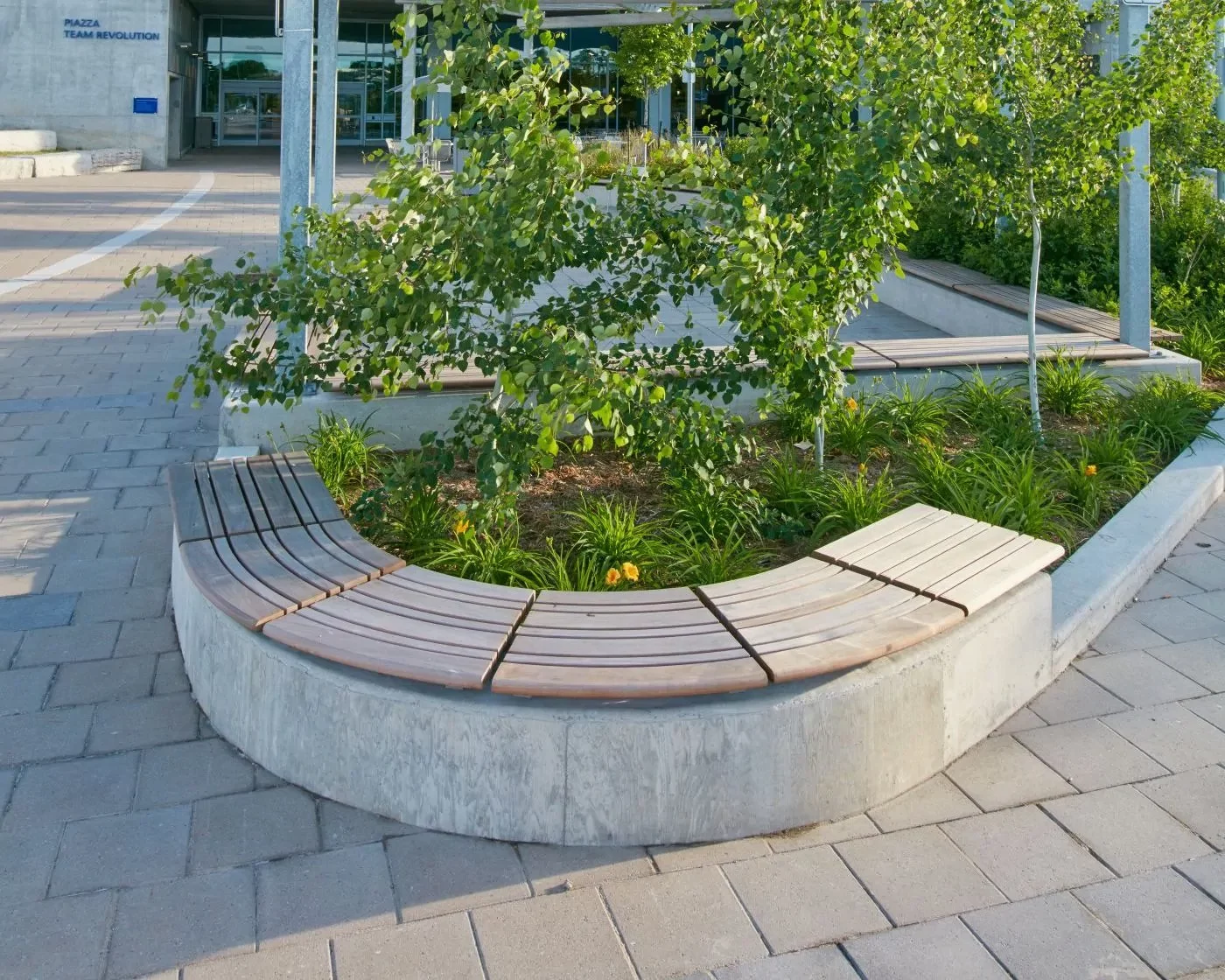 Curved wooden bench with concrete base surrounds a landscaped area with green plants and trees, located on a paved outdoor plaza near a building entrance.