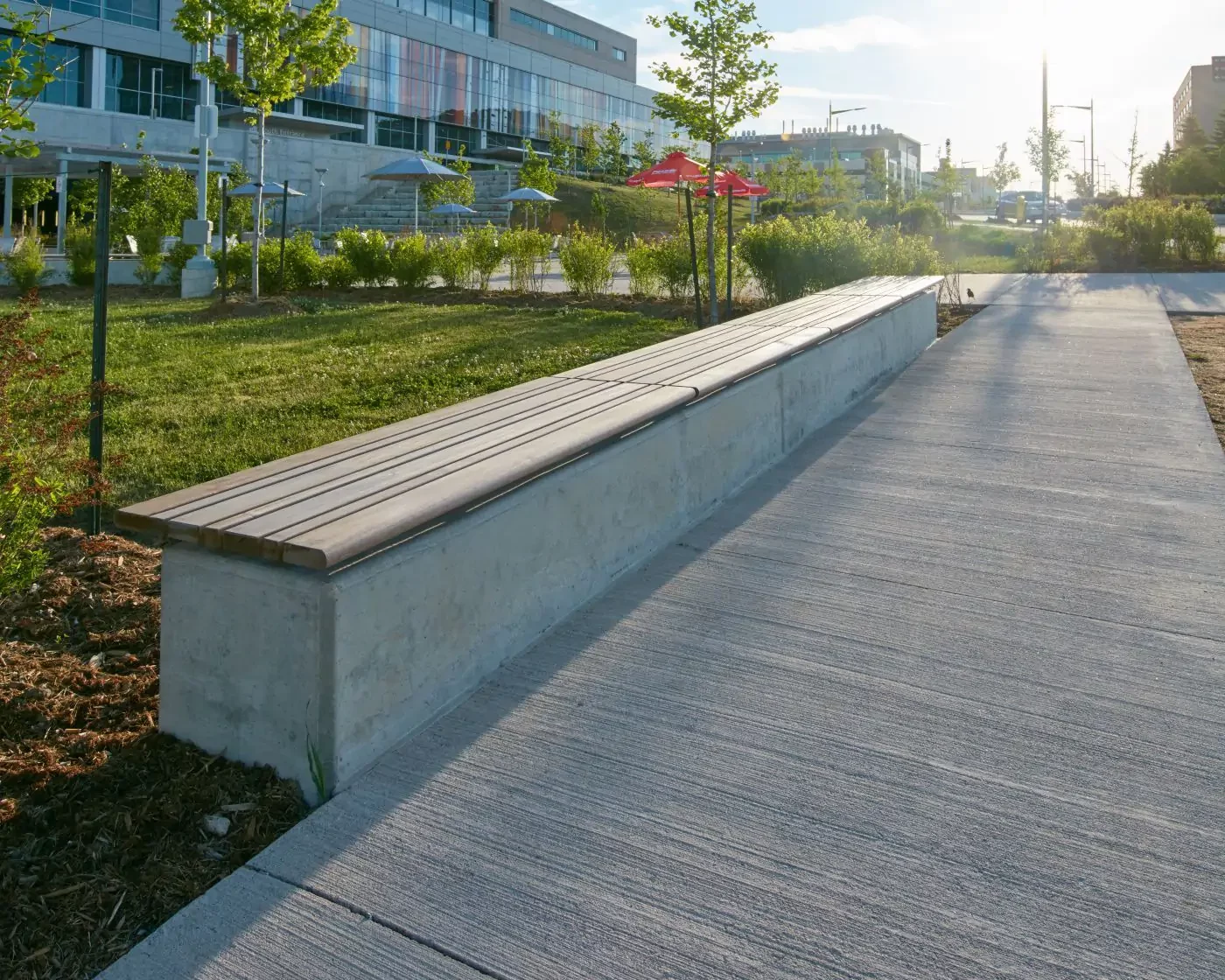 A long, concrete and wood bench lines a paved pathway in an urban park with grass, trees, and a modern building in the background.