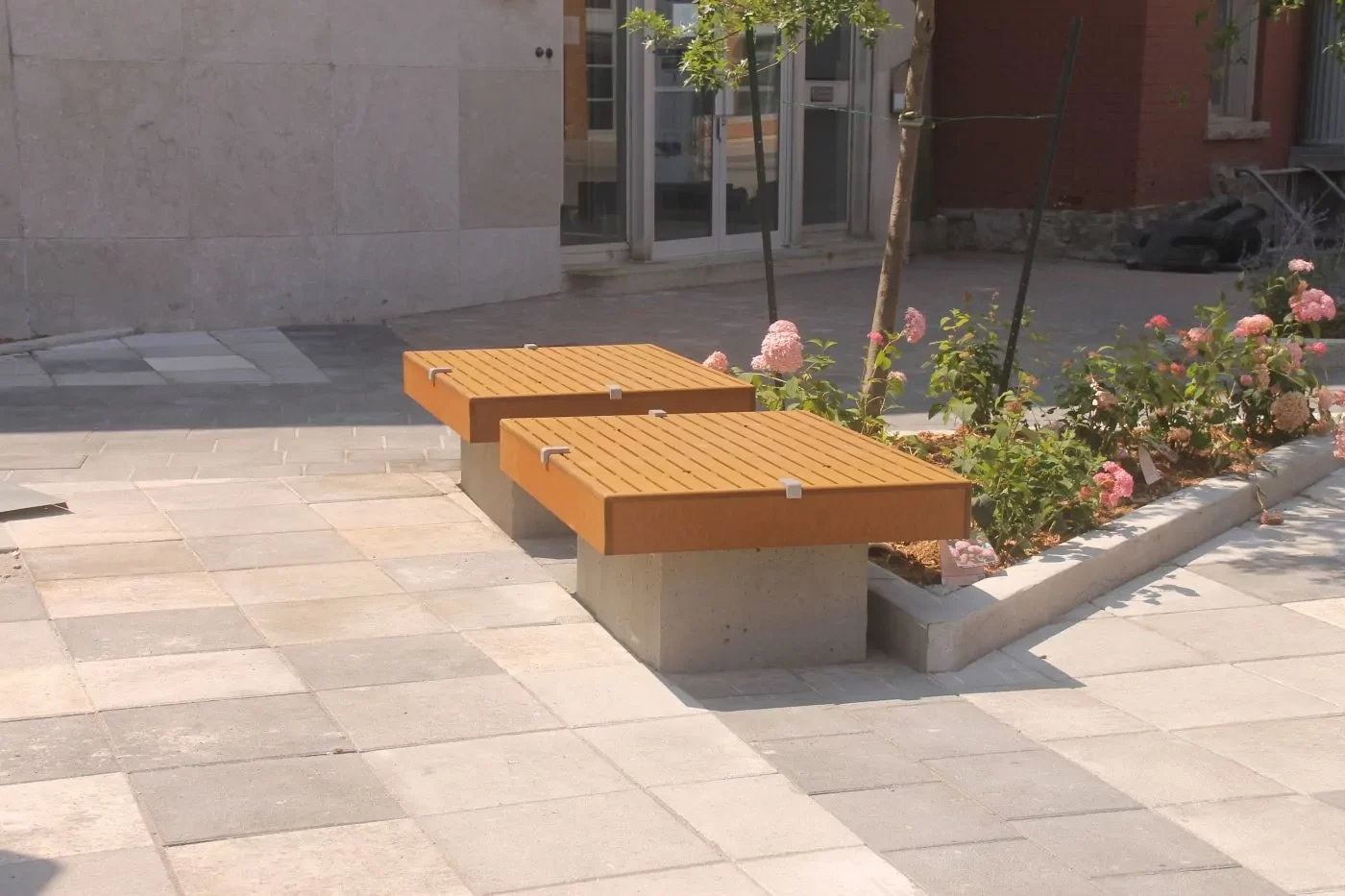 Two wooden benches with concrete bases are placed beside a small garden bed with flowers and young trees on a tiled outdoor area.
