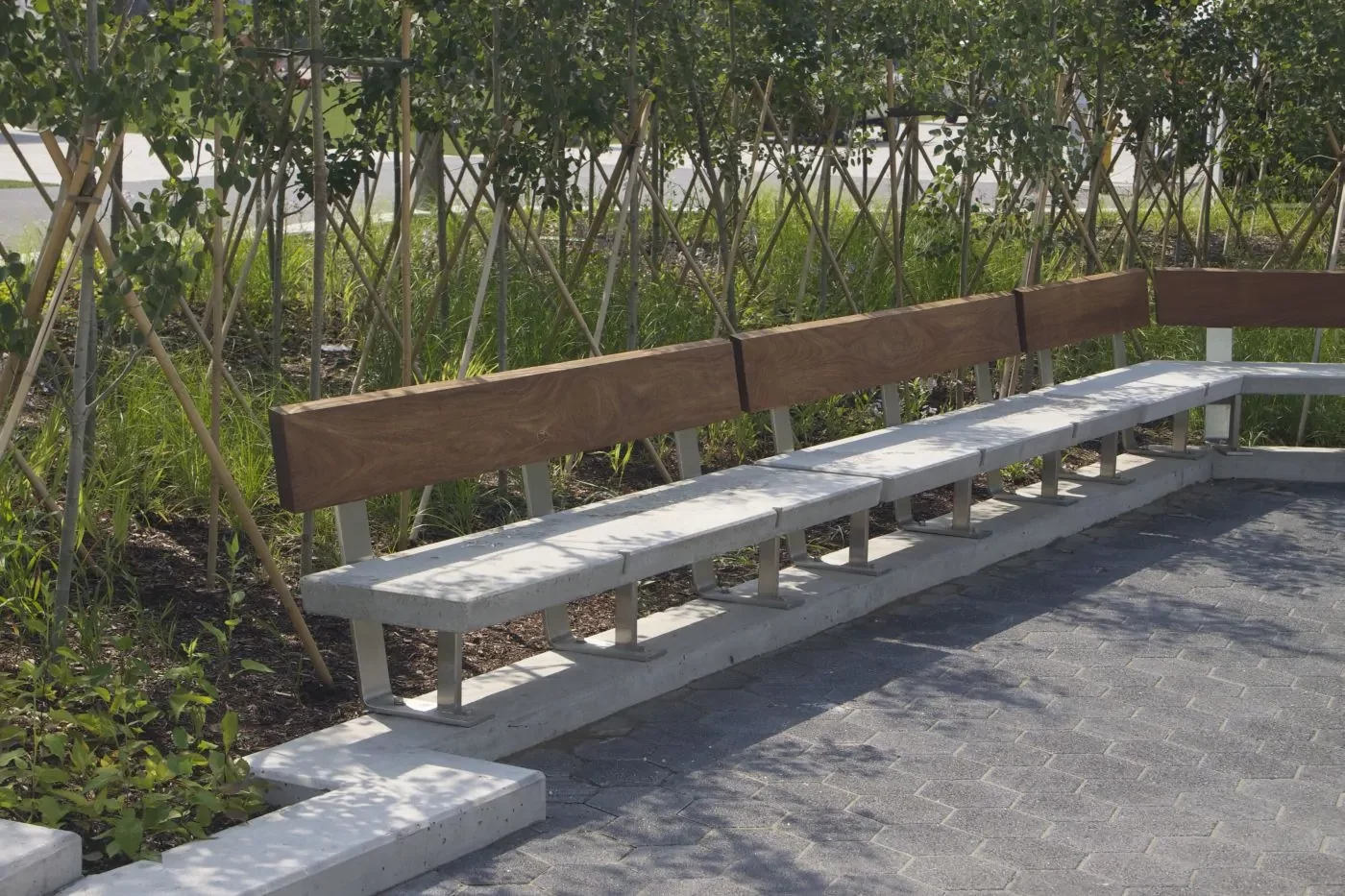 A long outdoor bench with a concrete base and wooden backrest is positioned beside a row of young trees in a landscaped area.