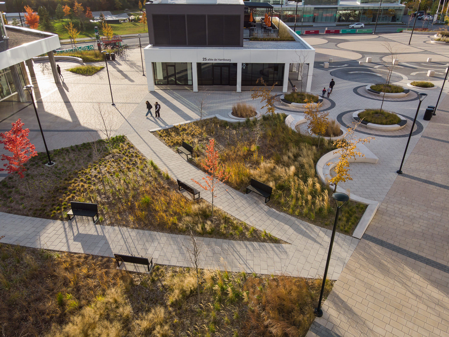 Over head view of the green space at AGORA Plaza in autumn. The image shows the pathways lined by comfortable Ogden benches.