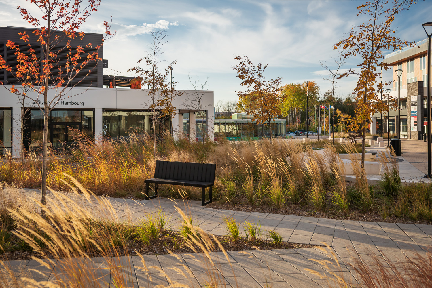A Maglin Ogden Bench is placed on a paved pathway in AGORA Plaza in Gatineau.