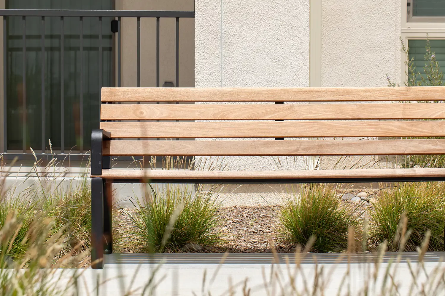 A wooden bench with black metal supports is positioned in front of a building, surrounded by ornamental grasses and landscaping.