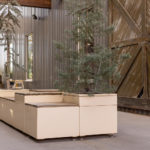 Ivory Pixel configuration with trees at Camp North End