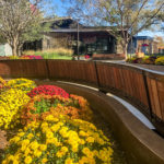 Back of Ogden cantilever bench overlooking restaurant at Grandscape