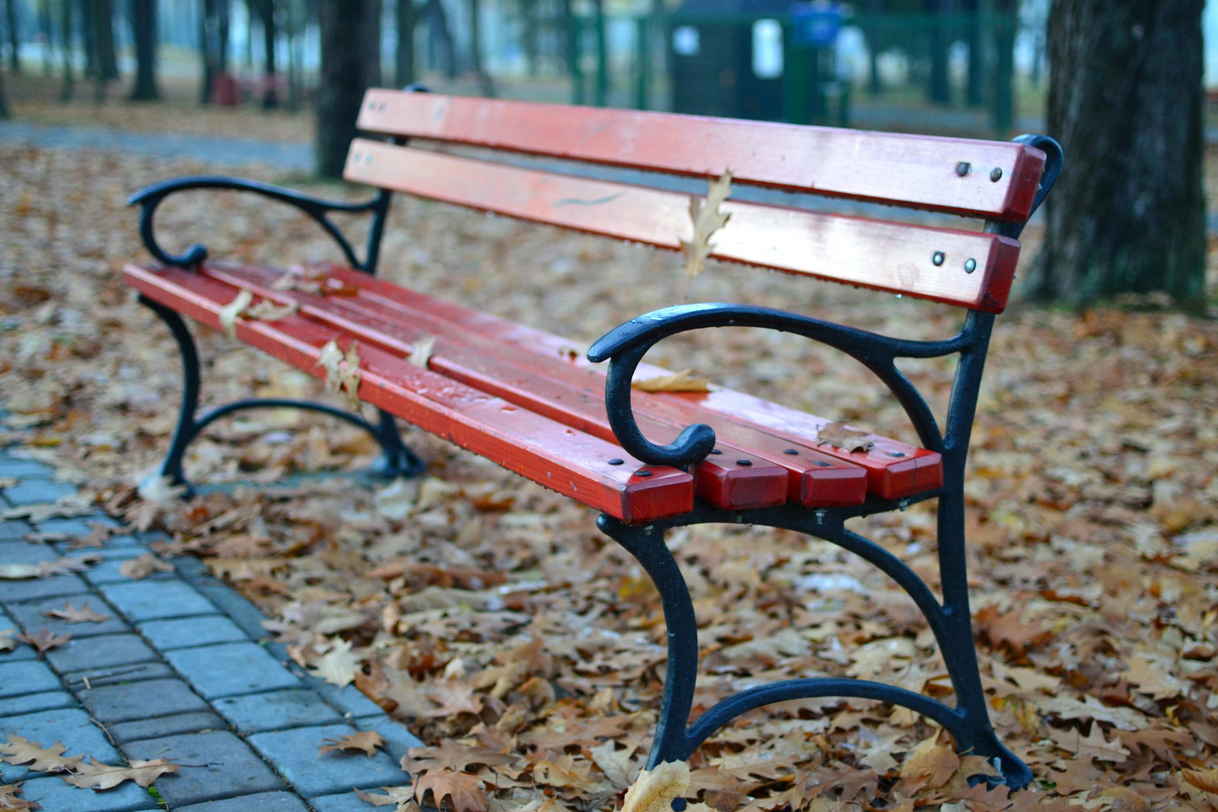 A red wooden park bench with black metal arms and legs, surrounded by fallen autumn leaves on the ground.