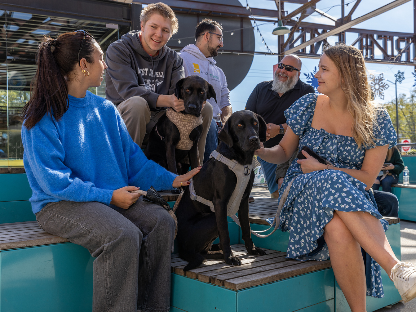 Two women, two black labs, and three men chat while perching on turquoise Pixel modular seating at Camp North End in Charlotte, NC. The dogs are looking at the camera, the people are looking at eachother.