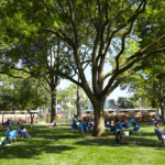People sit and relax on chairs under large trees in a green park on a sunny day, with buildings visible in the background.