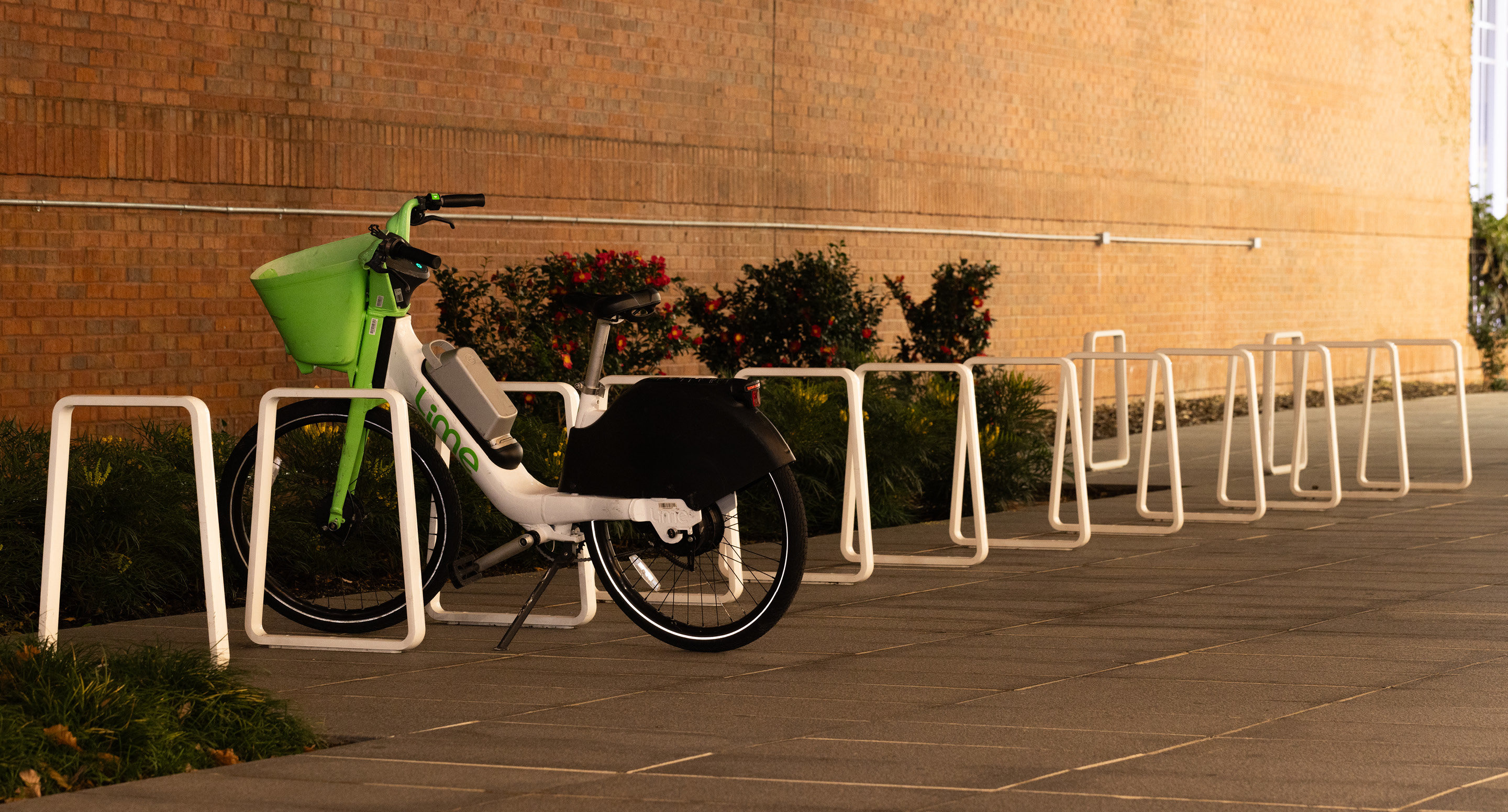 maglin-sustainability-epd-hero Row of white Iconic bike racks with bicycle locked against building