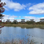 Maglin pond with red tree and blue skies and Maglin head office in distance