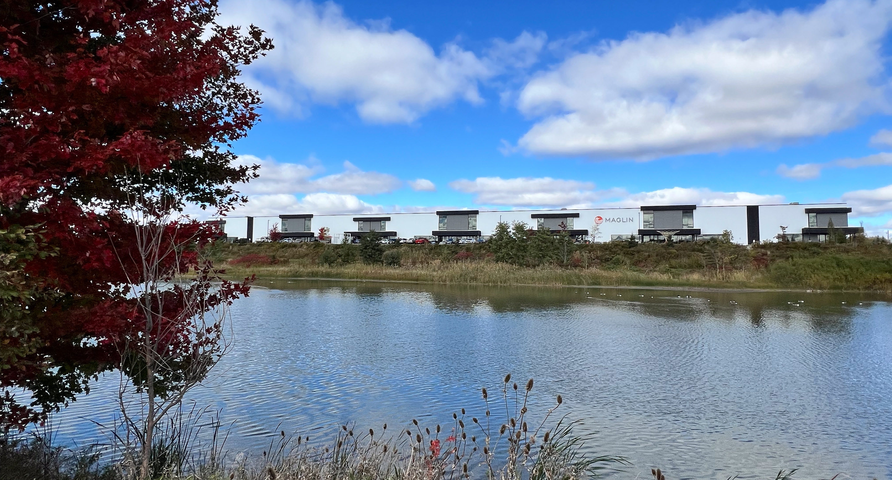 maglin-sustainability-statement_main Maglin pond with red tree and blue skies and Maglin head office in distance