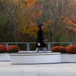 A person walks past white benches with orange potted flowers in front of trees with autumn foliage.
