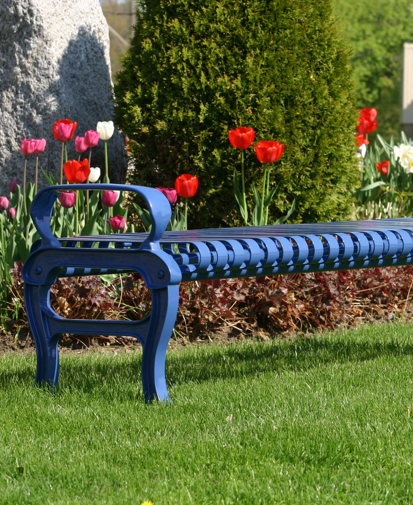 The 300 Backless Bench, crafted from blue metal, is placed on green grass surrounded by blooming red and white tulips and evergreen shrubs in a garden setting.