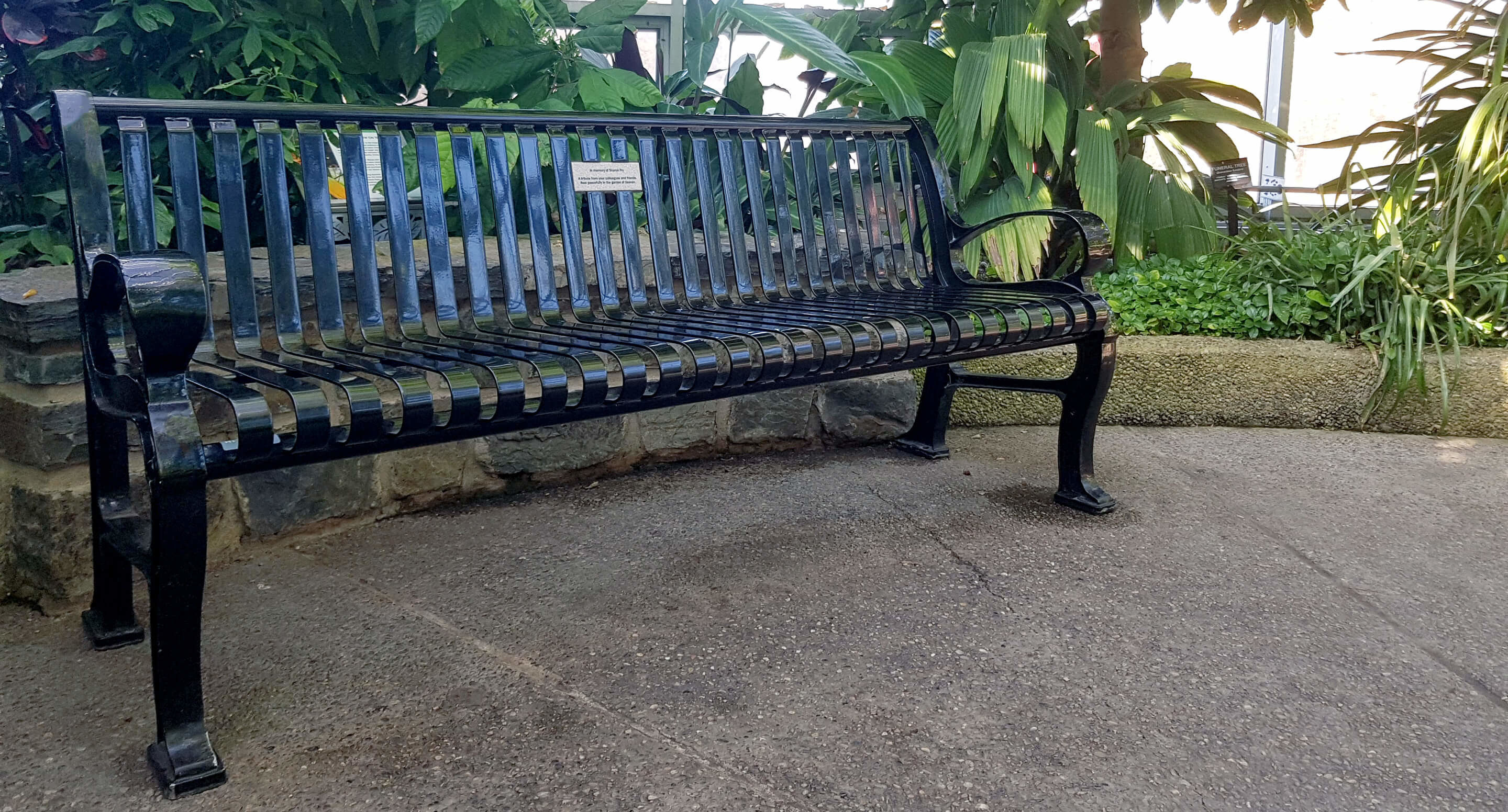 maglin_mbe-0300-backed-bench_1 A black metal bench sits on a paved area next to stone edging and surrounded by lush green plants.
