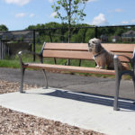 A small dog sits alone on a wooden bench beside a paved path in a park, with grass, a tree, and a fence in the background.