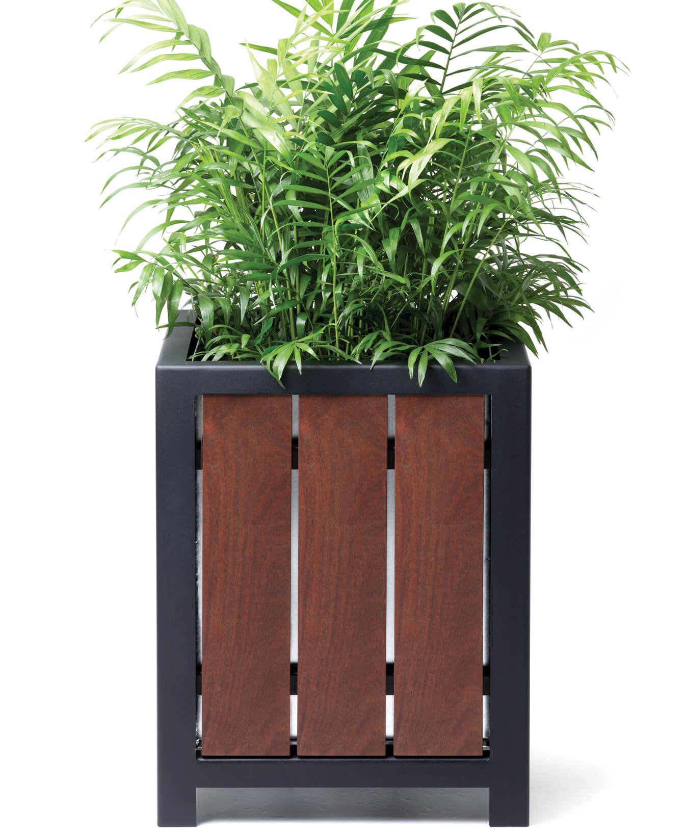 Le Bac à fleurs 1050 représente une plante à feuilles vertes poussant dans une jardinière carrée avec un cadre en métal noir et des panneaux verticaux en bois.