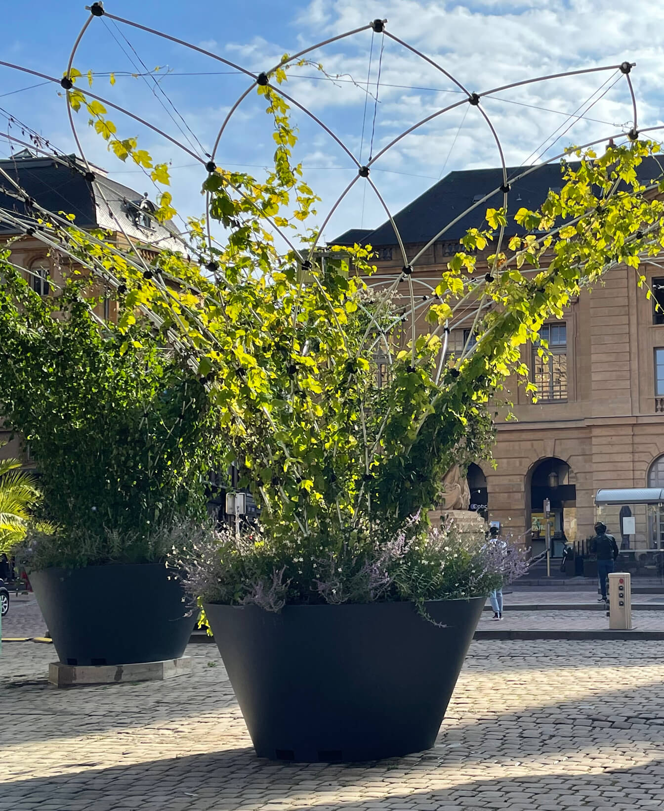 The Urban Canopee Corolle is a large black planter with climbing green vines supported by a geometric metal trellis, situated on a paved outdoor area near a classical building.