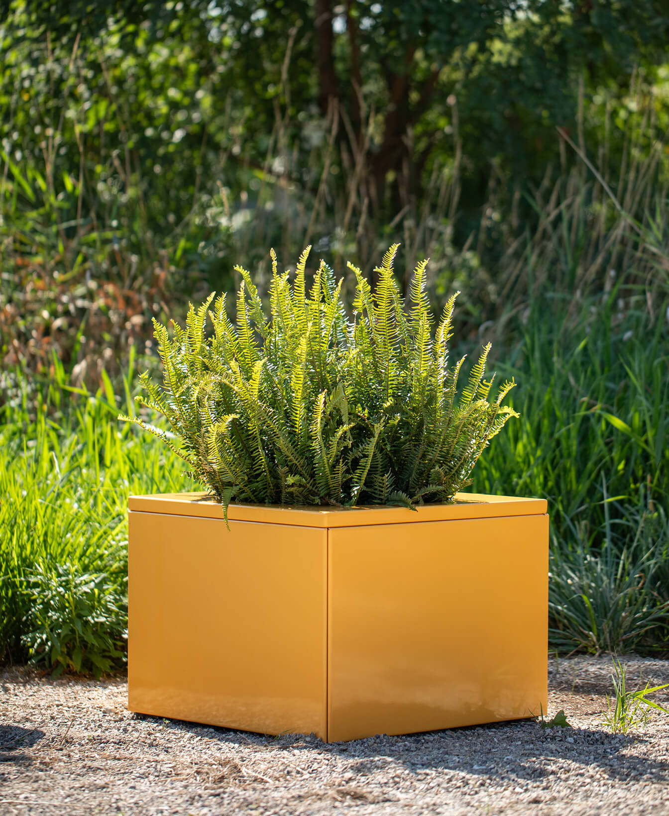 A green fern grows in a large, square, yellow Pixel Planter outdoors on gravel, with grass and trees in the background.