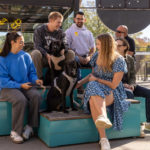 A group of people sit on tiered benches outdoors with two black dogs, talking and smiling on a sunny day.