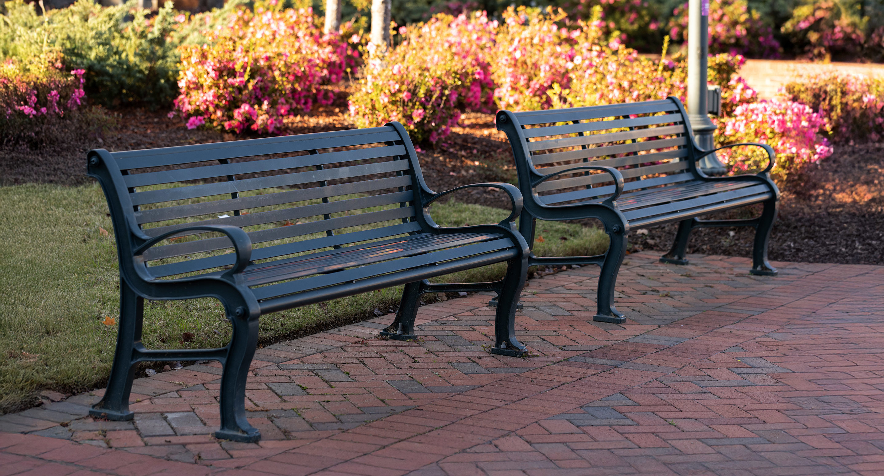 maglin_mbe-0300-backed-benches-2 Two empty dark green metal benches on a brick walkway in a park, with blooming pink flowers and green shrubs in the background.