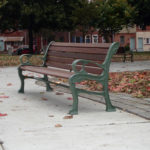 A wooden park bench with metal armrests sits on a paved path surrounded by fallen leaves and trees in an urban park.