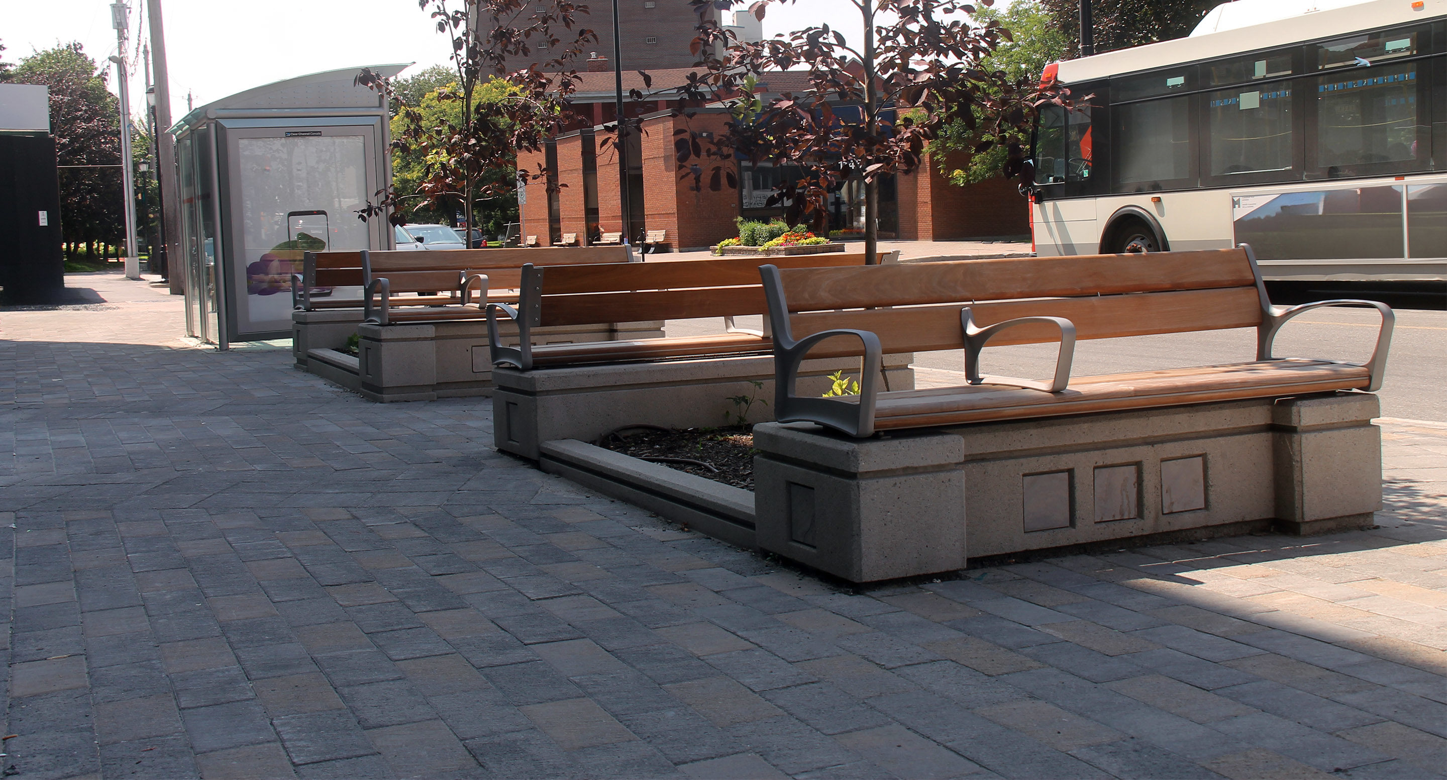 Three wooden benches with metal armrests are arranged along a paved urban sidewalk near a bus shelter, with a bus stopped in the background.
