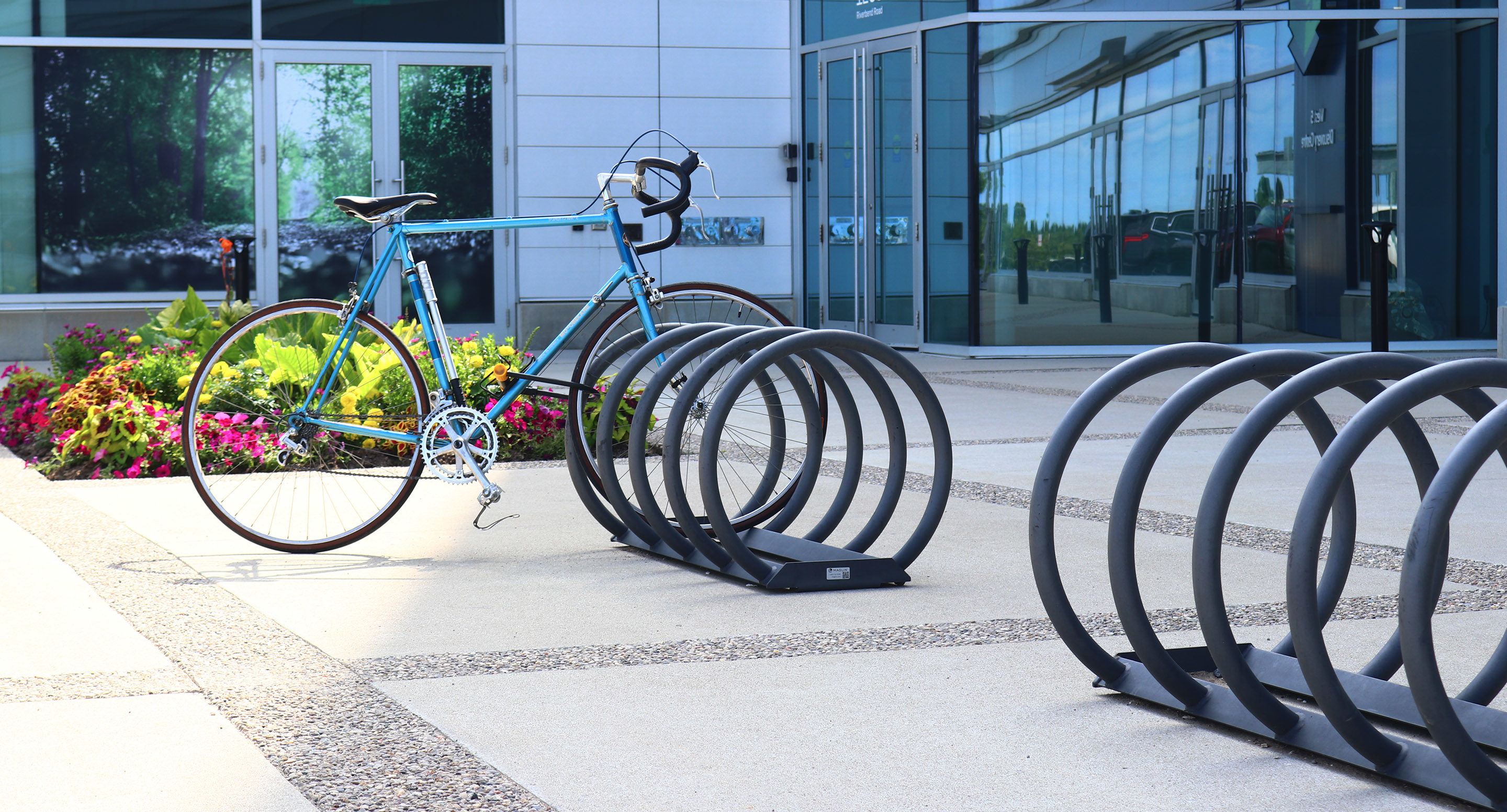 maglin_mbr-0350-bike-racks-3 A single blue bicycle is parked in a circular metal bike rack outside a modern glass building, with flowers and greenery nearby.