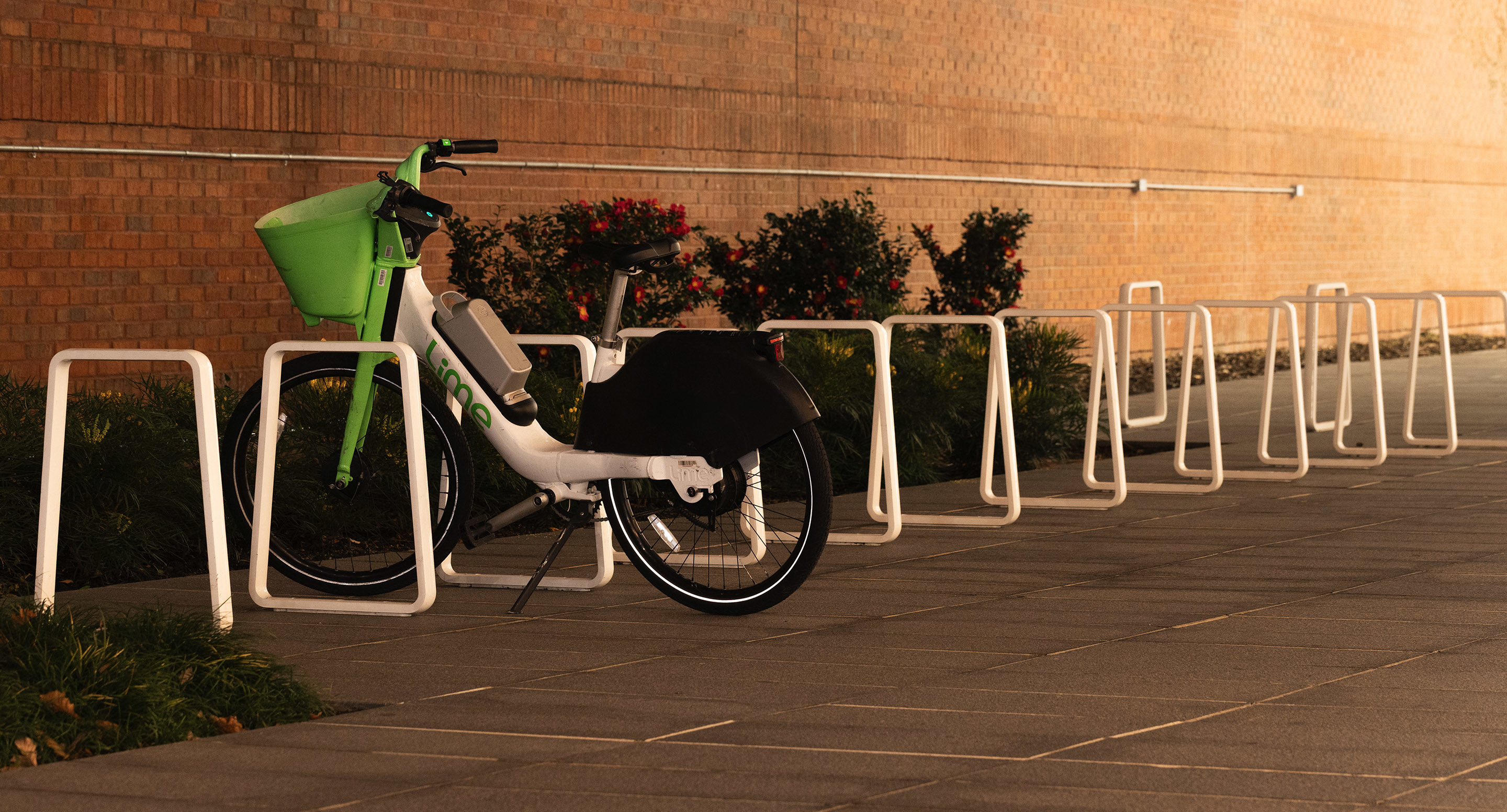 A single green and white rental bike is parked at an otherwise empty bike rack along a paved sidewalk next to a brick wall and some shrubs.