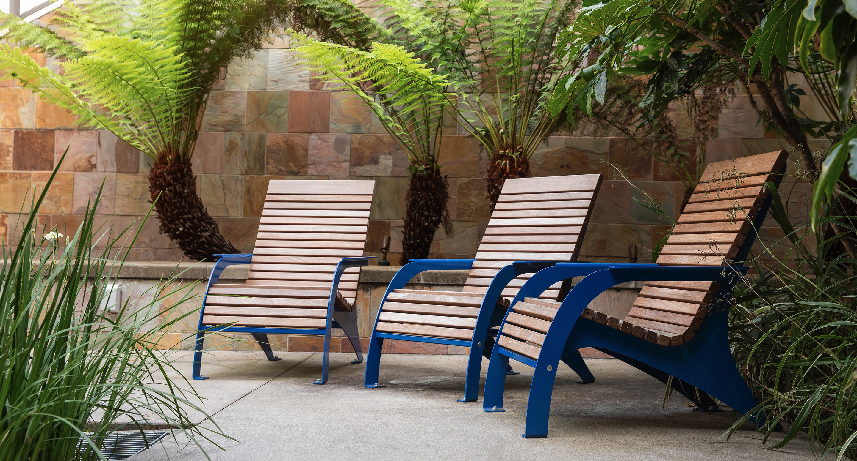 Three wooden lounge chairs with blue metal frames are arranged in a row on a patio, surrounded by lush ferns and greenery against a stone tile wall.