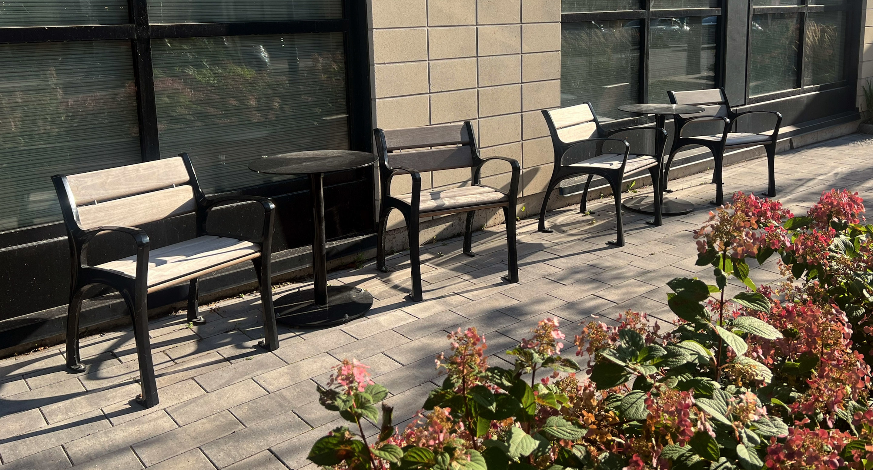 Quatre chaises de terrasse vides et deux petites tables sont disposées sur un trottoir pavé à l'extérieur d'un bâtiment, avec des fleurs au premier plan.