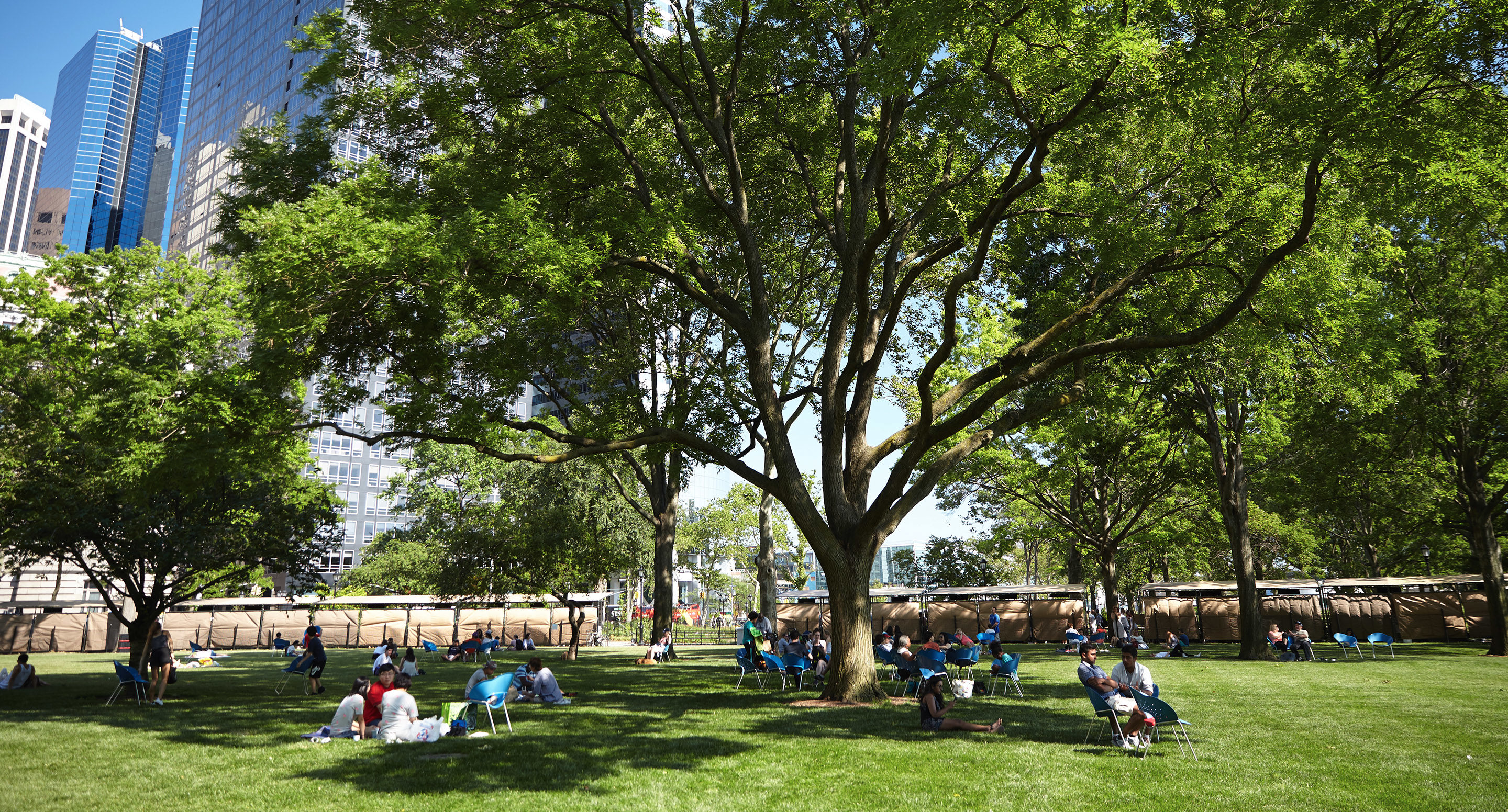 People are sitting on chairs scattered across a grassy park under large trees, with city buildings visible in the background.
